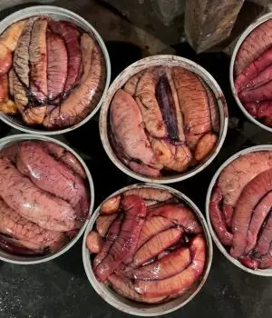 WhatsApp-Image-2025-12-23-at-4.54.30-PM-1-rgmy4zv1bfpevlefqzrzxtjz30gy7tkbcqowmiy3l8