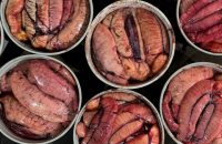 WhatsApp Image 2026-04-20 at 15.19.38 (3)